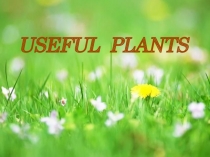 Презентация на английском языке