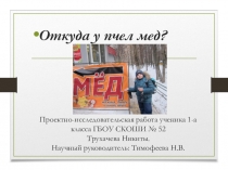 Откуда у пчел мед?