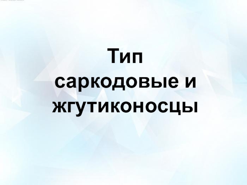Презентация по биологии Тип Саркодовые и Жгутиконосцы (7 класс)