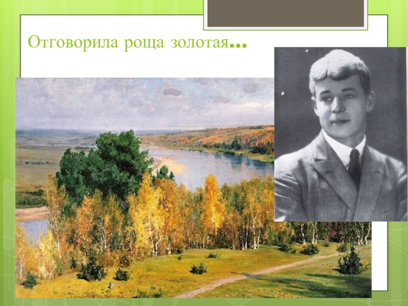 Есенин золотой. Сергей Есенин Отговорила роща. Сергей Александрович Есенин Отговорила роща Золотая. Есенина Отговорила роща Золотая.