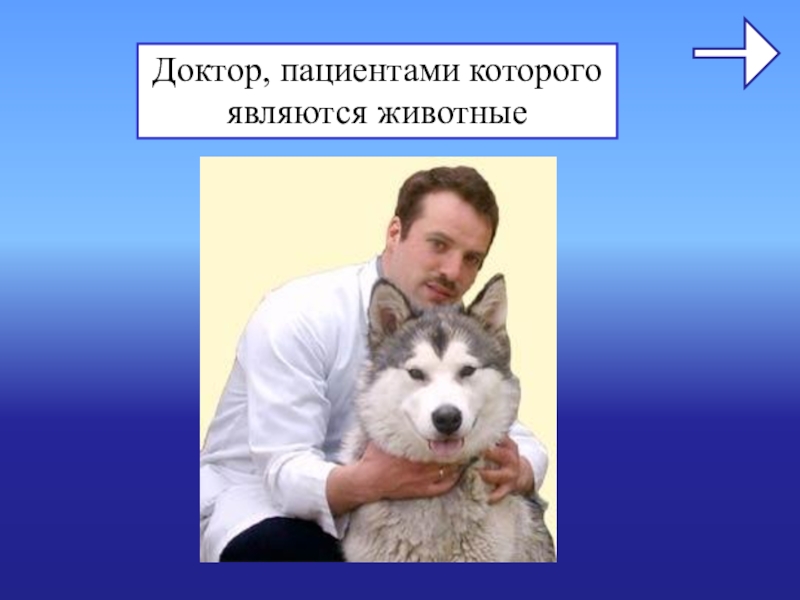 Животные обладают деятельностью. Кто является питомцем. Животные являются прекрасными докторами.