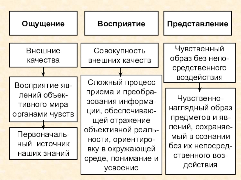 Внешние качества. Внешние ощущения. Качества восприятия.