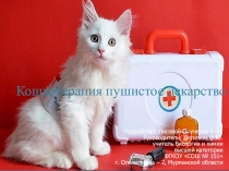 Презентация по биологииКошкотерапия - пушистое лекарство