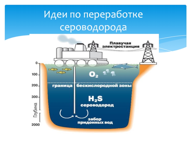 Сероводород производство. Сероводород в черном море. Чёрное море сероводородный слой. Сероводород в черном море опасность.