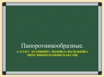 Презентация к уроку Папоротникообразные