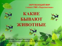 Презентация по окружающему миру Какие бывают животные