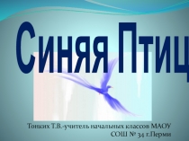 Презентация по литературному чтению на тему М.Метерлинк  Синяя птица