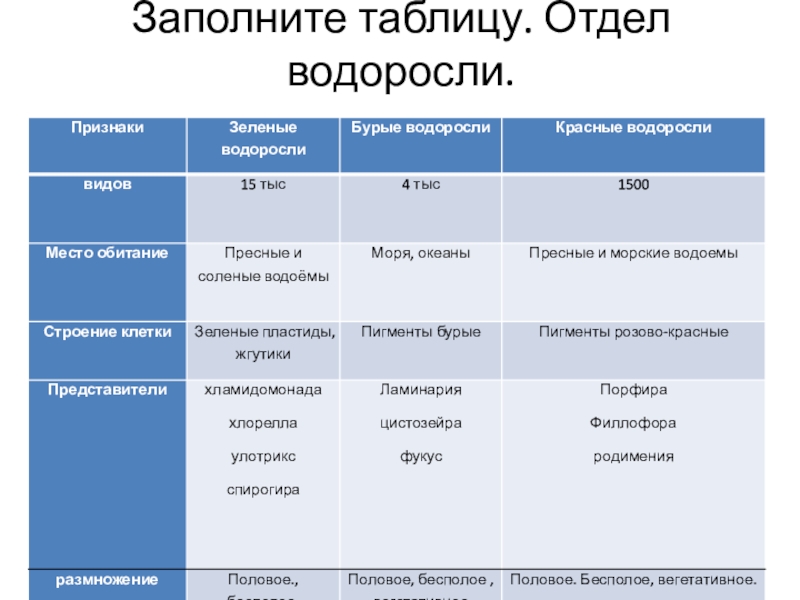 Группы водорослей таблица. Отделы водорослей таблица. Таблица по отделам водорослей. Характеристика отделов водорослей. Сравнительная таблица отделов водорослей.