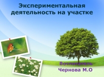 Презентация Экспериментальная деятельность на участке