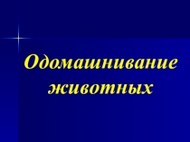 Презентация к занятию по теме : Одомашненные животные