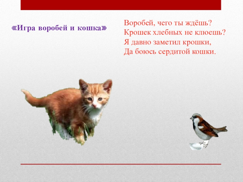 Кукольный спектакль под грибом. Инсценировка под грибом. Воробей сценки. Дроботенко и воробей. Декорации к сказке под грибом в детском.