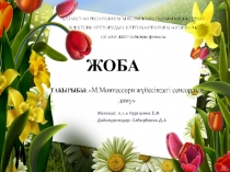 М.Монтессори жүйесіндегі сенсорлық даму /жоба/