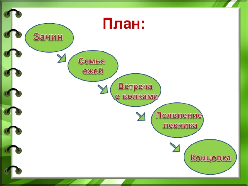 Зеленая школа рассказ план