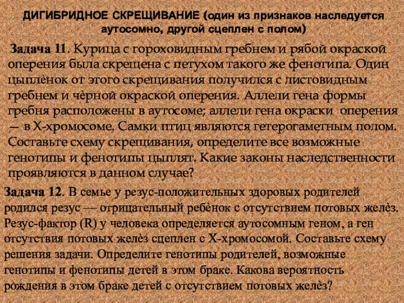 Учебное пособие: Законы наследственности