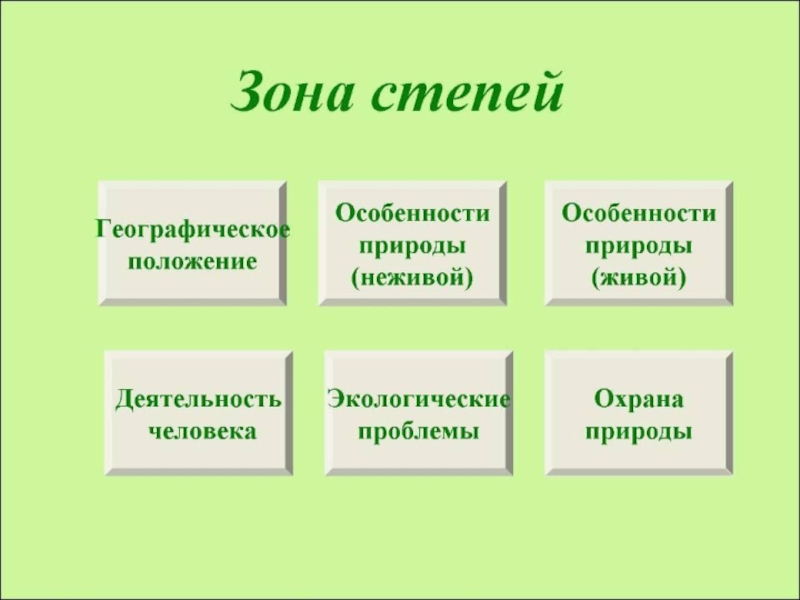 Основной вид деятельности в степи