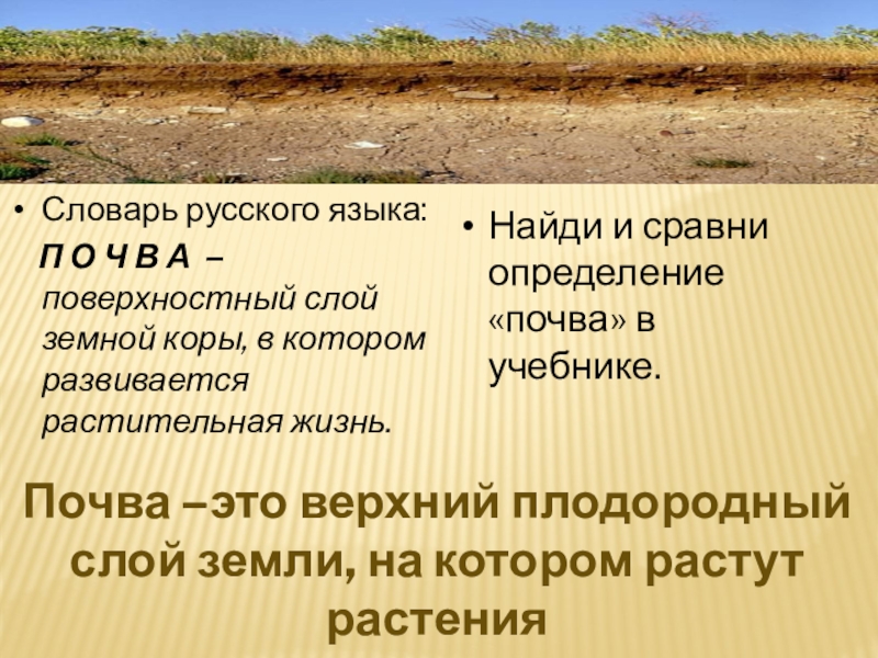 Верхний слой почвы. Почва это определение. Верхний плодородный слой земной коры это. Почва – это верхний плодородный слой земной коры.. Дать определение почве.