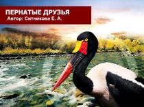 Презентация. Планирование мероприятия День птиц