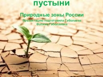 Презентация к уроку окружающего мира Природные зоны России.Пустыни.