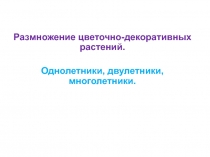 Презентация по технологии на тему  Размножение цветочно-декоративных растений