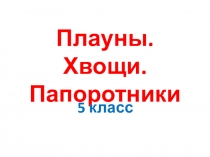 Презентация по биологии на тему Плауны. Хвощи. Папоротники