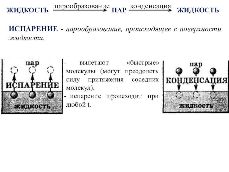 Парообразование и конденсация. Процесс конденсации жидкостей. Парообразование происходящее с поверхности жидкости. Испарение и конденсация дать характеристику процессов. Конденсация описание процесса.