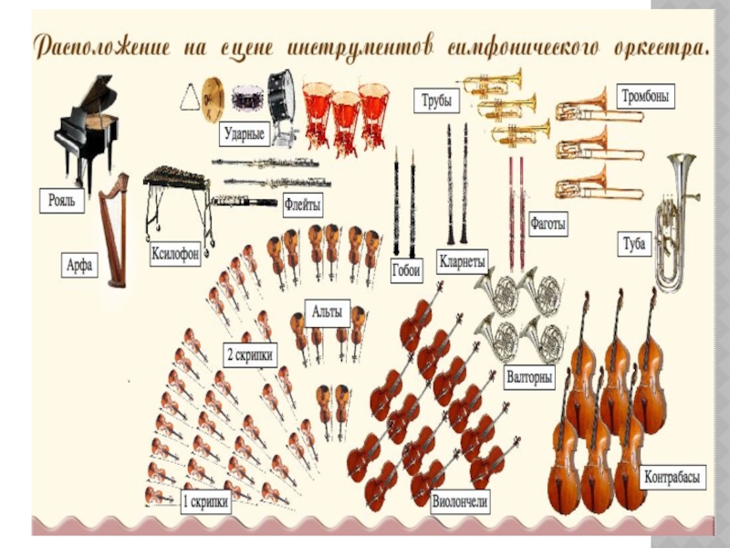 Расположение симфонического оркестра картинка