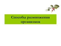 Презентация по биологии на тему Способы размножения организмов