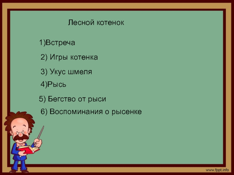 План котенок. Лесной котенок план. Лесной котенок изложение. Лесной котёнок план изложения. План котенок 2 класс.