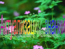 Презентация к уроку Системы неравенств с двумя переменными