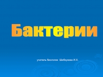 Презентация по биологии на тему Бактерии (5 класс)