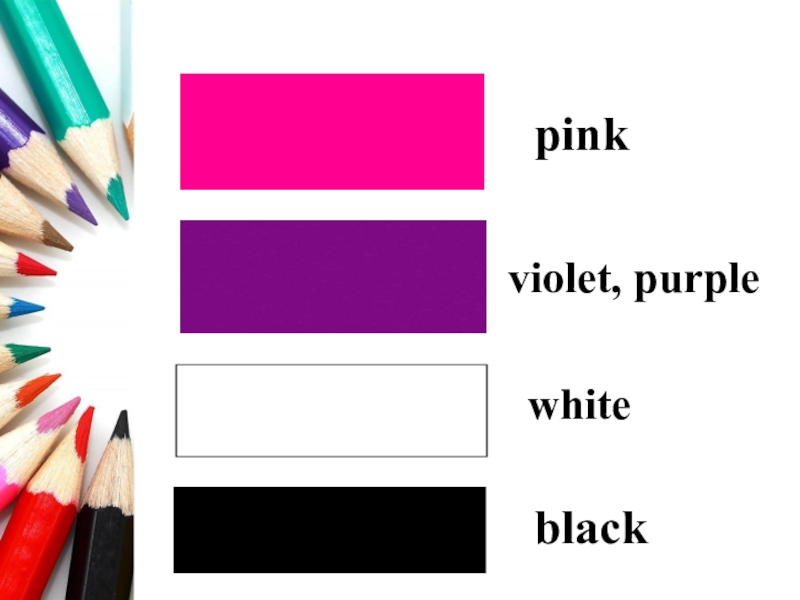 pinkviolet, purplewhiteblack