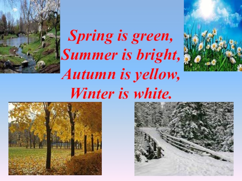 Summer is bright. Spring is Green Summer is Bright autumn is Yellow Winter is White. Стих Spring is Green Summer is Bright autumn is Yellow Winter is White. Стихотворение Spring is Green Summer is Bright. Spring is Green стихотворение.