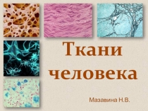 Презентация по биологии 8 класс на тему Ткани человека