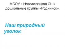 Презентация Наш природный уголок