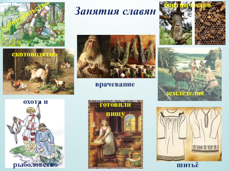 Назвать главные занятия славян. Занятия древних славян. Древние славяне занятия. Древрип славяне занятия. Основные занятия древних славян.