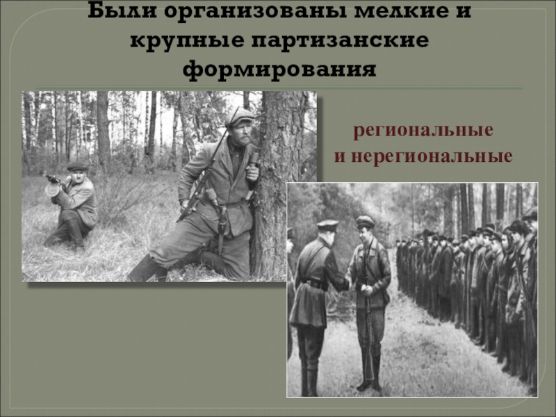 Укажите командира крупного партизанского соединения