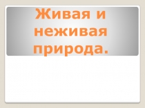 Презентация по окружающему миру Живая и неживая природа (1 класс)