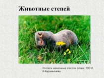 Презентация по окружающему миру на тему Животные степи