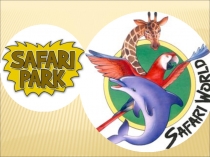 Презентация к уроку английского языка в 3 классе на тему At the Safari Park