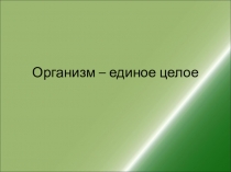 Презентация по биологии на тему Организм-единое целое (6 класс)