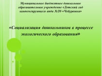 Презентация Социализация дошкольников в процессе экологического образования