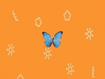 ФИЗМИНУТКА ДЛЯ ГЛАЗ НАШЕ ЛЕТО