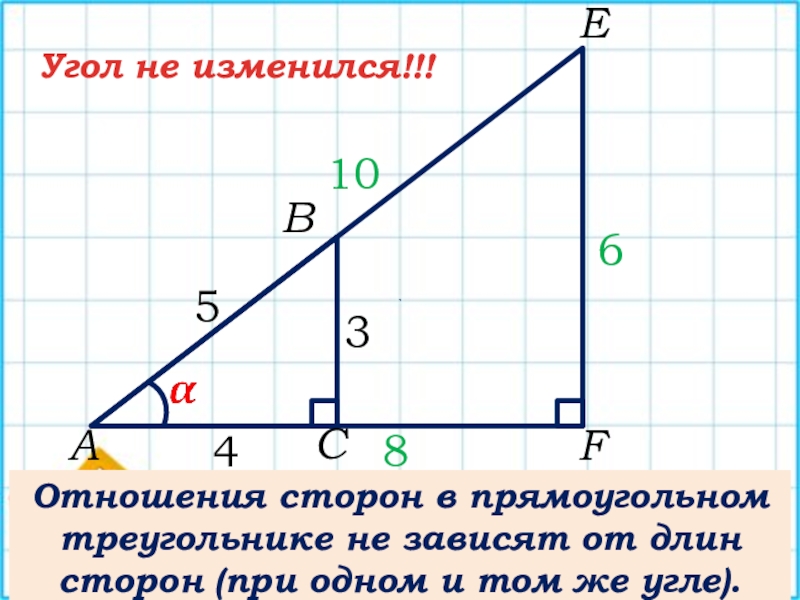 3456810Отношения сторон в прямоугольном треугольнике не зависят от длин сторон (при одном и том же угле).ABCEFУгол не