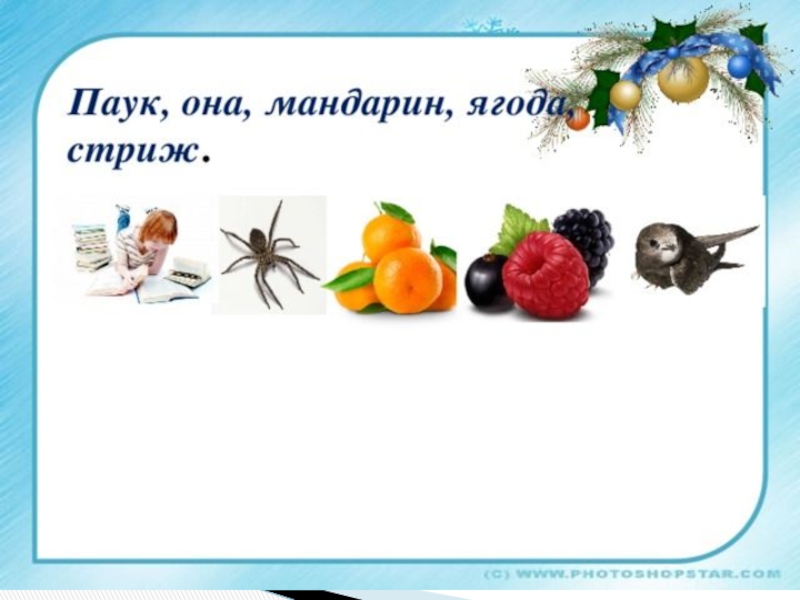 Проект и в шутку и всерьез. Проект по русскому и в шутку и всерьез. Паук она мандарин ягода Стриж. Проект и в шутку и всерьез русский язык.