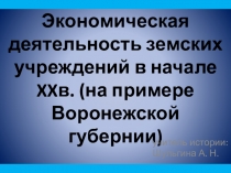 Презентация: Экономическая деятельность земских учреждений в начале XX в.