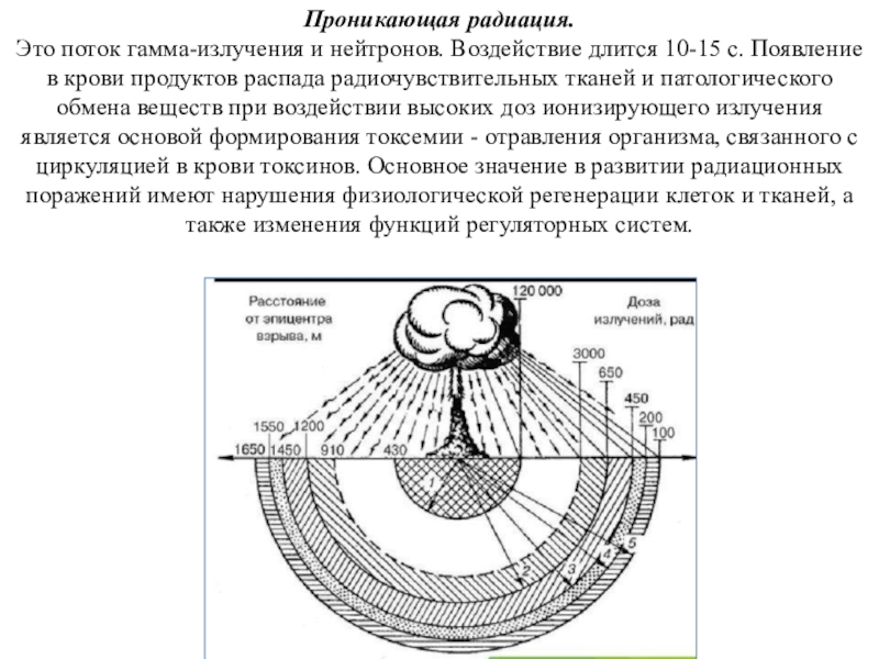 Проникающая радиация ядерного взрыва. Радиус поражения проникающей радиации. Проникающая радиация это поток гамма лучей и нейтронов. Проникающая радиация ядерного взрыва схема.