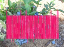 Разговор о правильном питании во 2классе (презентация)