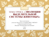 Презентация по биологии на тему Эволюция выделительной системы животных