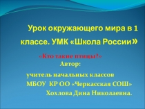 Презентация Кто такие птицы?