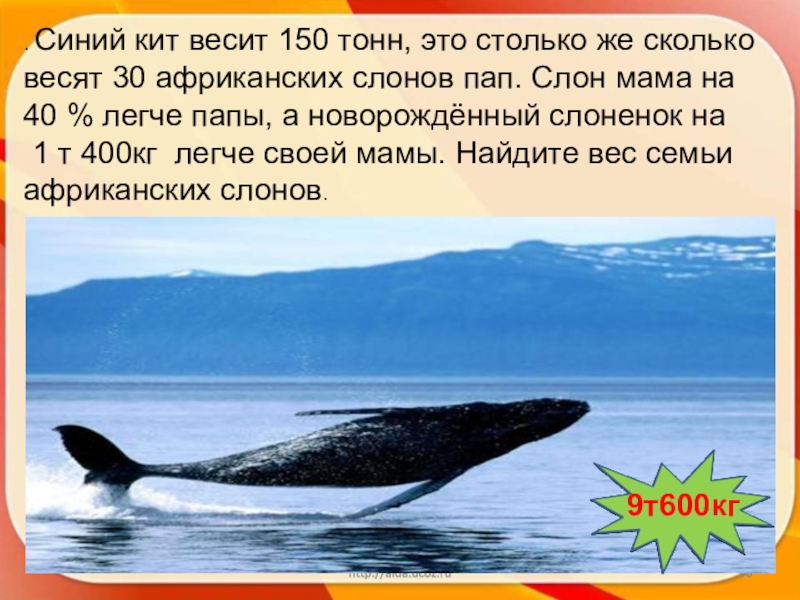 Масса синего кита. Сколько весит кит. Синий кит вес. Вес кита. Сколько Вест синий кит.